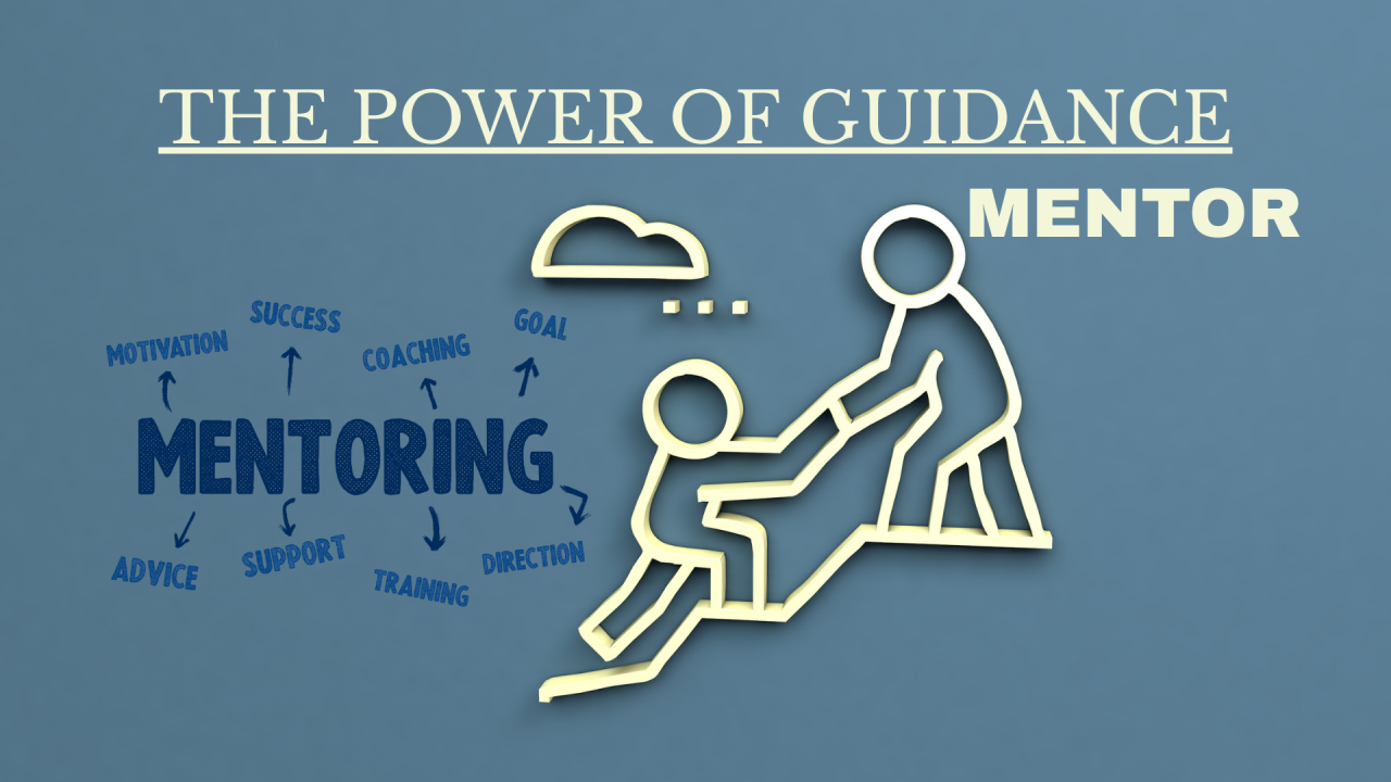 Mentorship & Guidance